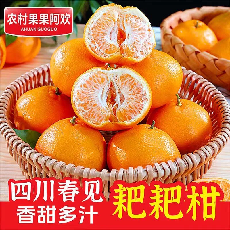 阿欢【坏果包赔】四川春见耙耙柑香甜多汁现摘优质新鲜水果4.5-8斤