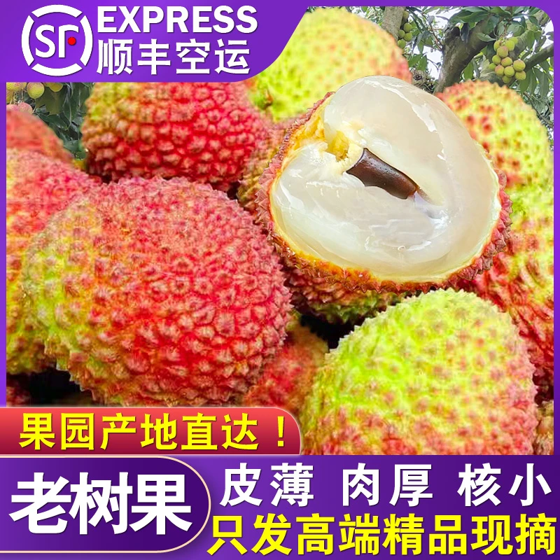 【顺丰冷链】海南妃子笑荔枝新鲜采摘水果带箱5斤天然头茬当季小核