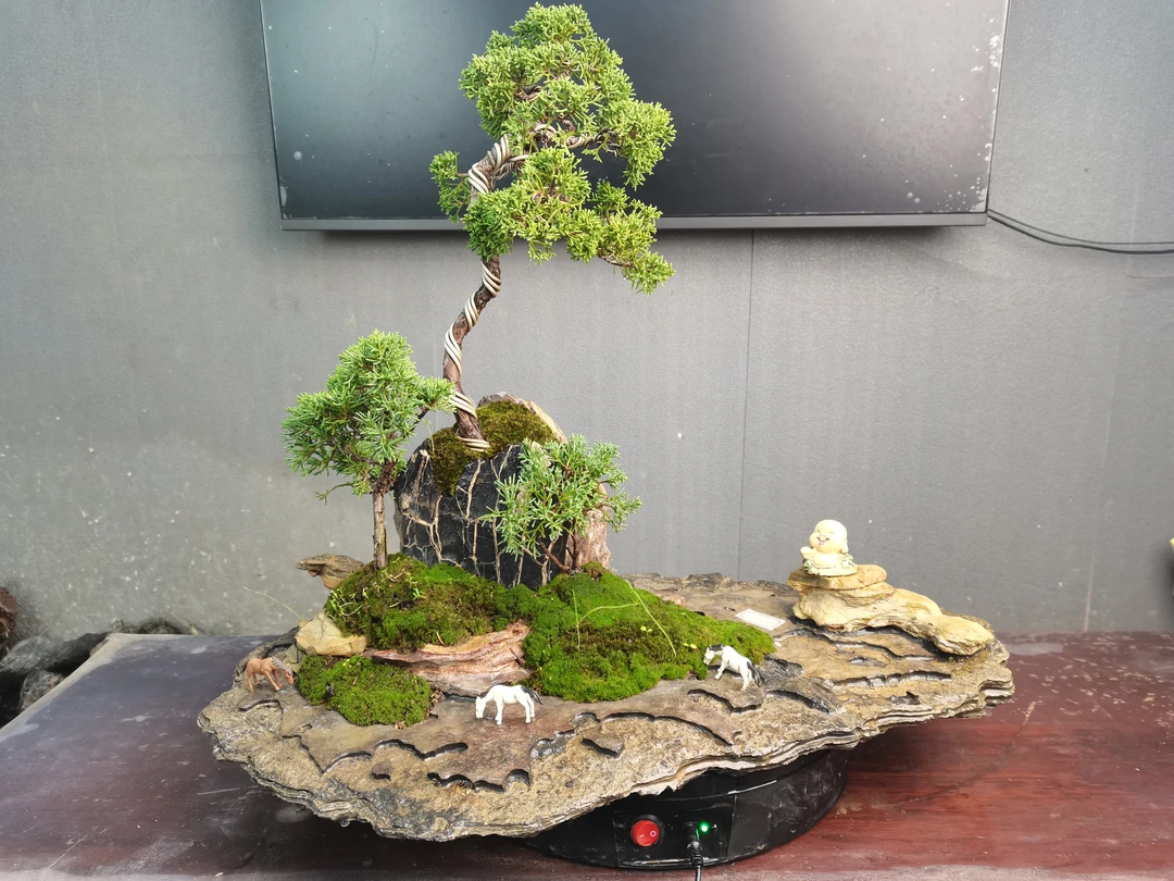 灵璧奇石花盆创意盆景