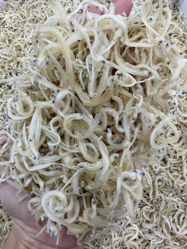 广东博贺小银鱼干 面条鱼 500装海味干货食用