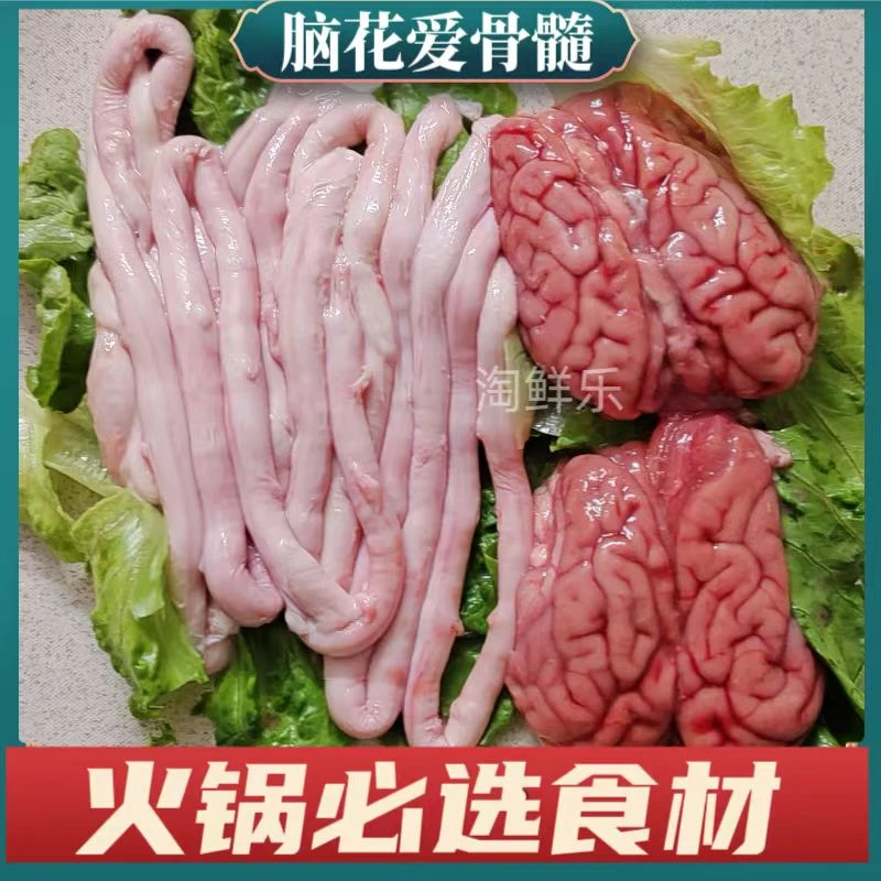 【顺丰包邮】正宗猪脑花新鲜猪骨髓猪脑髓猪脊髓食品特色火锅食材
