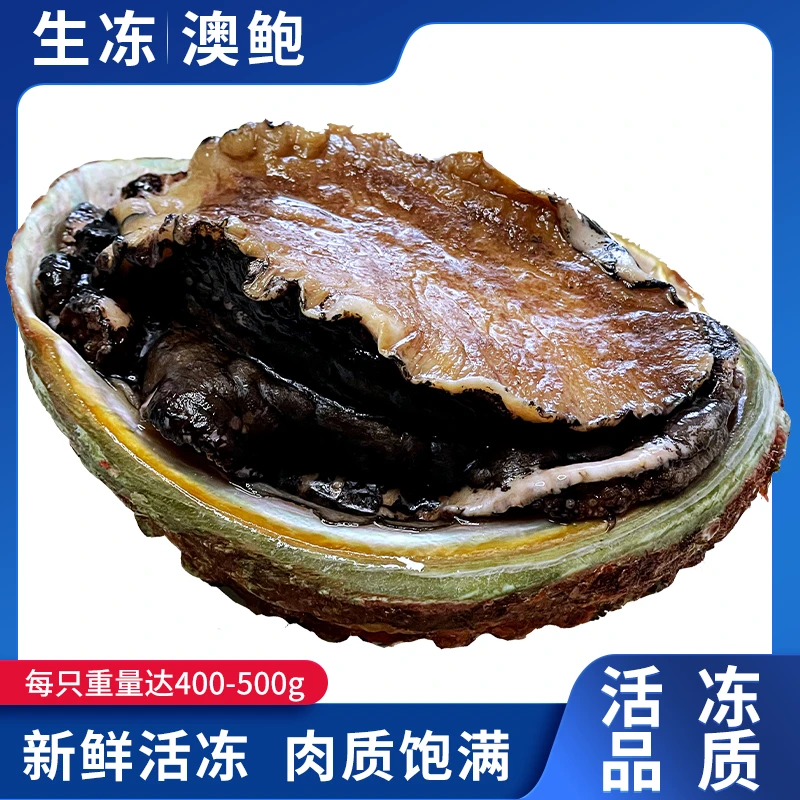 新西兰进口澳洲鲍鱼/澳洲黄金鲍/刺身大鲍鱼海鲜水产刺身2只300g