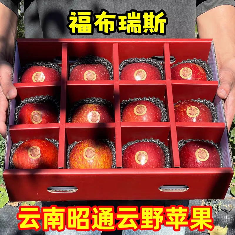 云南昭通福布瑞斯苹果丑苹果当季冰糖心苹果现摘新鲜泸沽湖苹果
