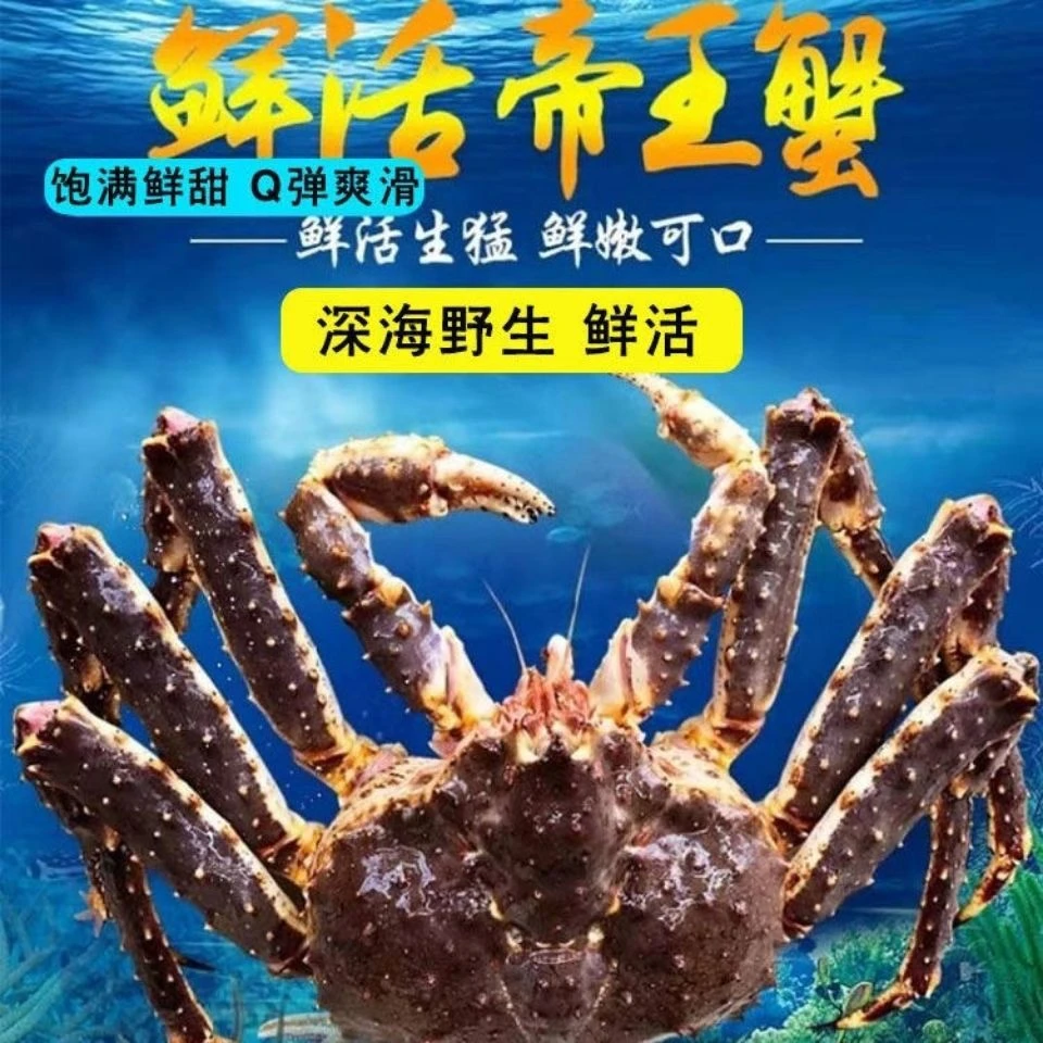 【活发海鲜礼包】帝王蟹+澳洲龙虾+澳鲍+东星斑新鲜饱满超大送礼