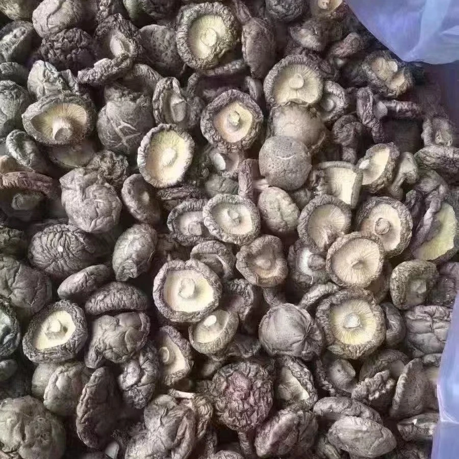 净重香菇肉厚无根冬菇剪脚农家干货土特产菌类