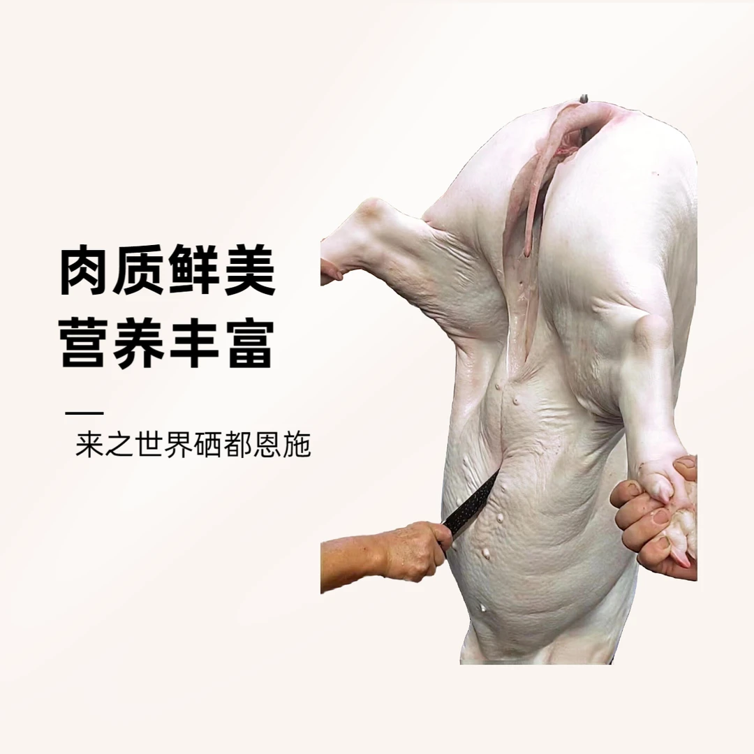 3【前腿肉】前夹肉雪花肉梅花肉前腿雪花肉恩施高山土猪顺丰包邮