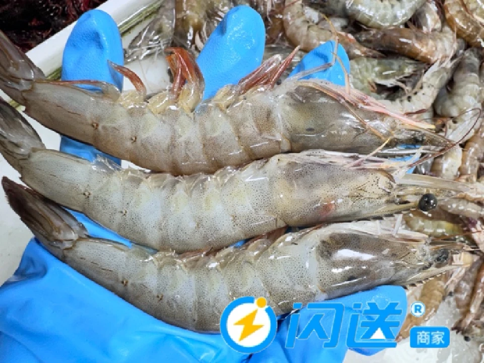 缺氧海白虾/500g/肉质紧实Q弹/按斤销售