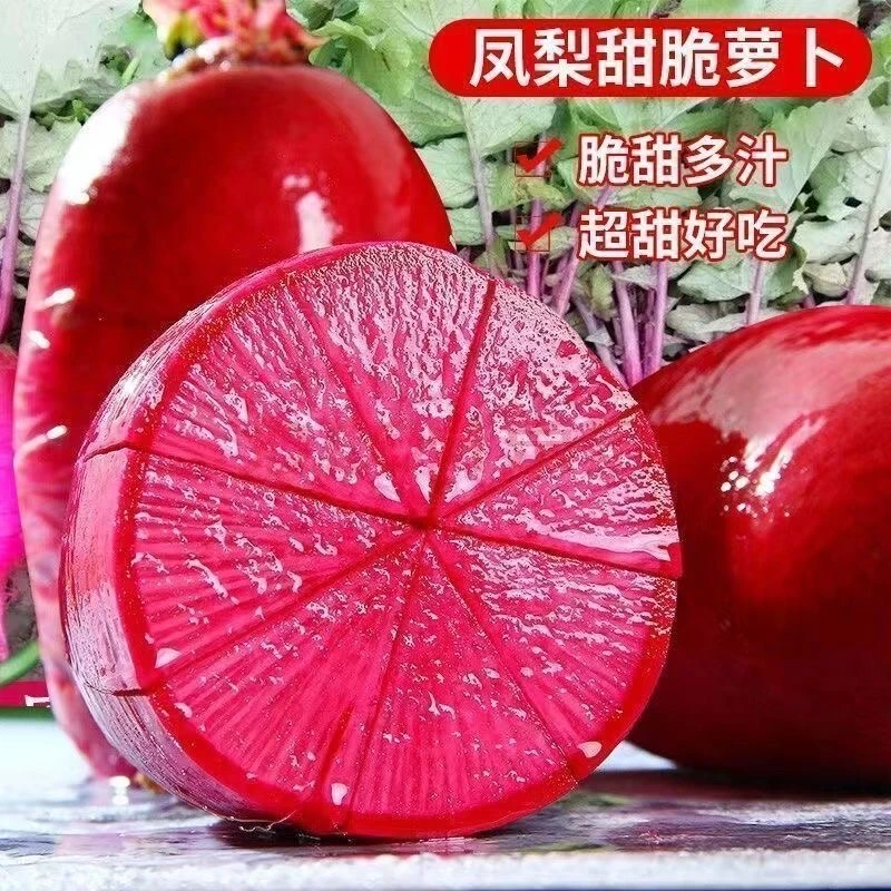 凤梨水果萝卜种子红皮红肉种籽四季甜脆萝卜蔬菜种子紫美人红萝卜