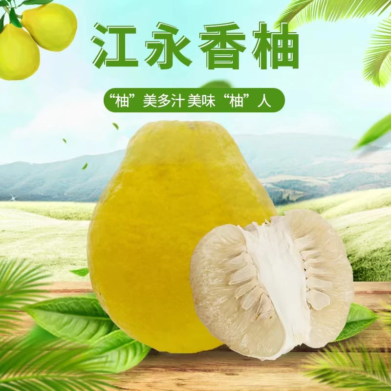 正宗沙田柚新鲜无酸白心柚子孕妇水果江永香柚纯甜