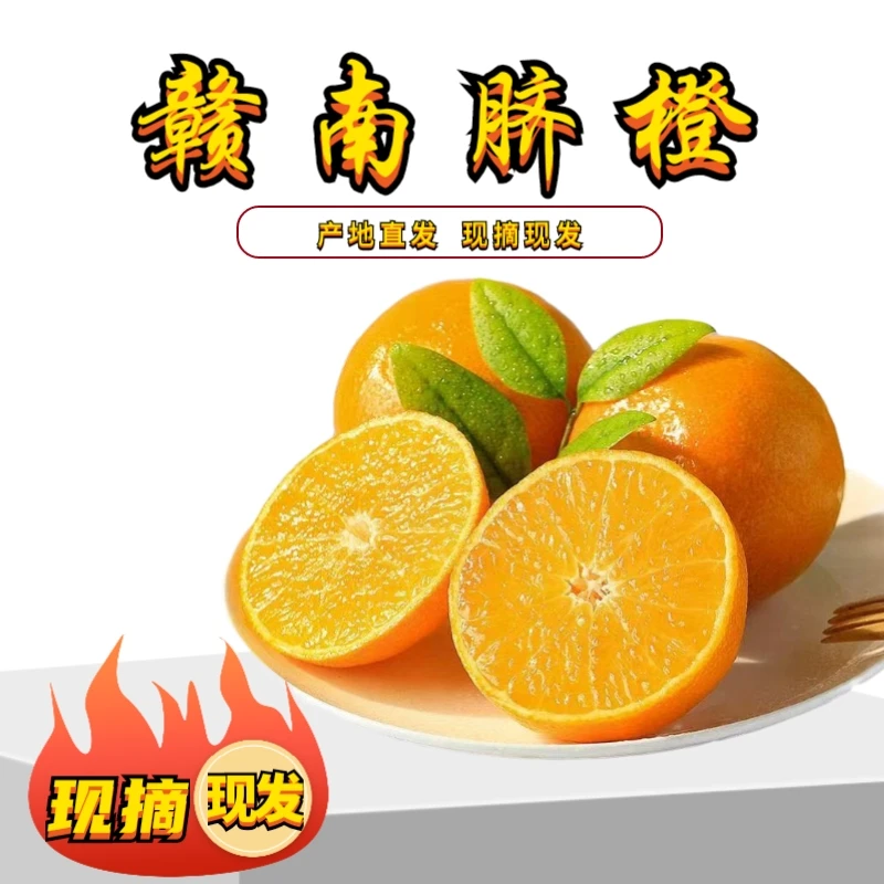 正宗赣南脐橙富硒水果当季自然现摘果园臻品应季食用新鲜水果10斤
