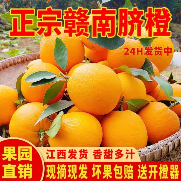 赣南脐橙奉节赣南正宗赣南橙子奉节脐橙江西赣州果园直发