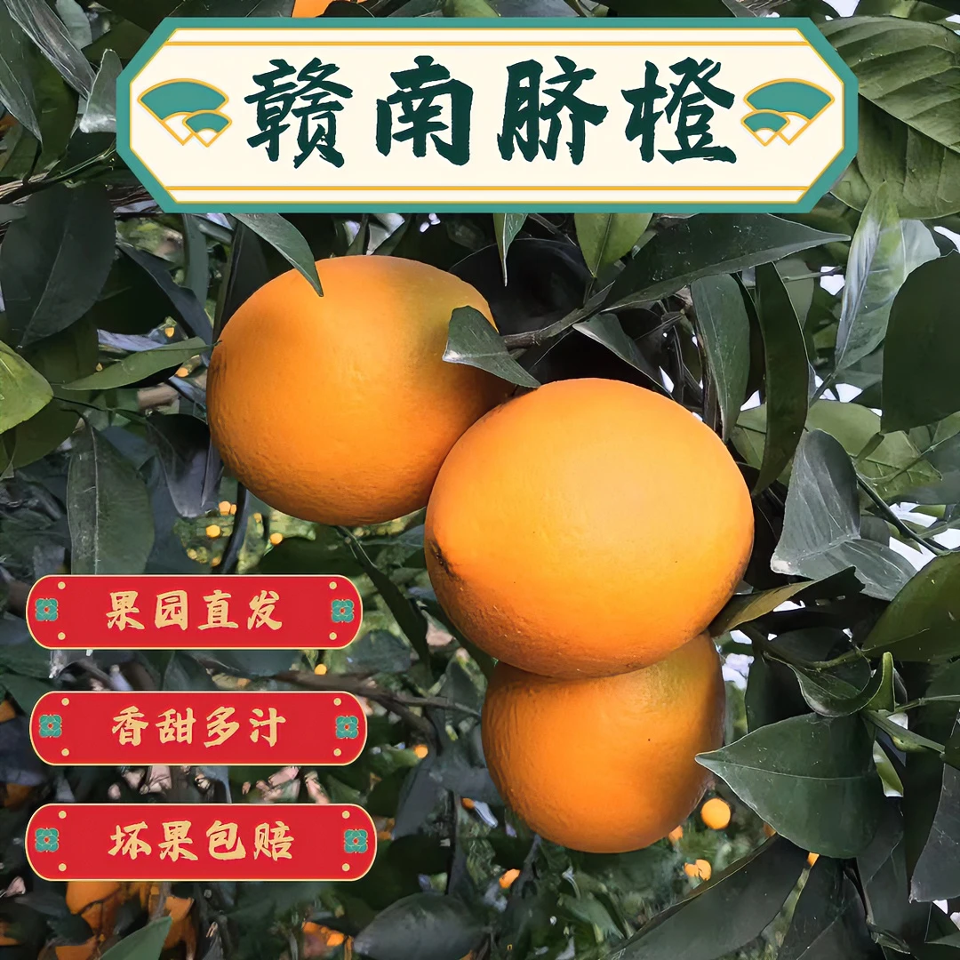 江西正宗赣南脐橙新鲜赣南江西赣州水果脐橙橙子江西赣南