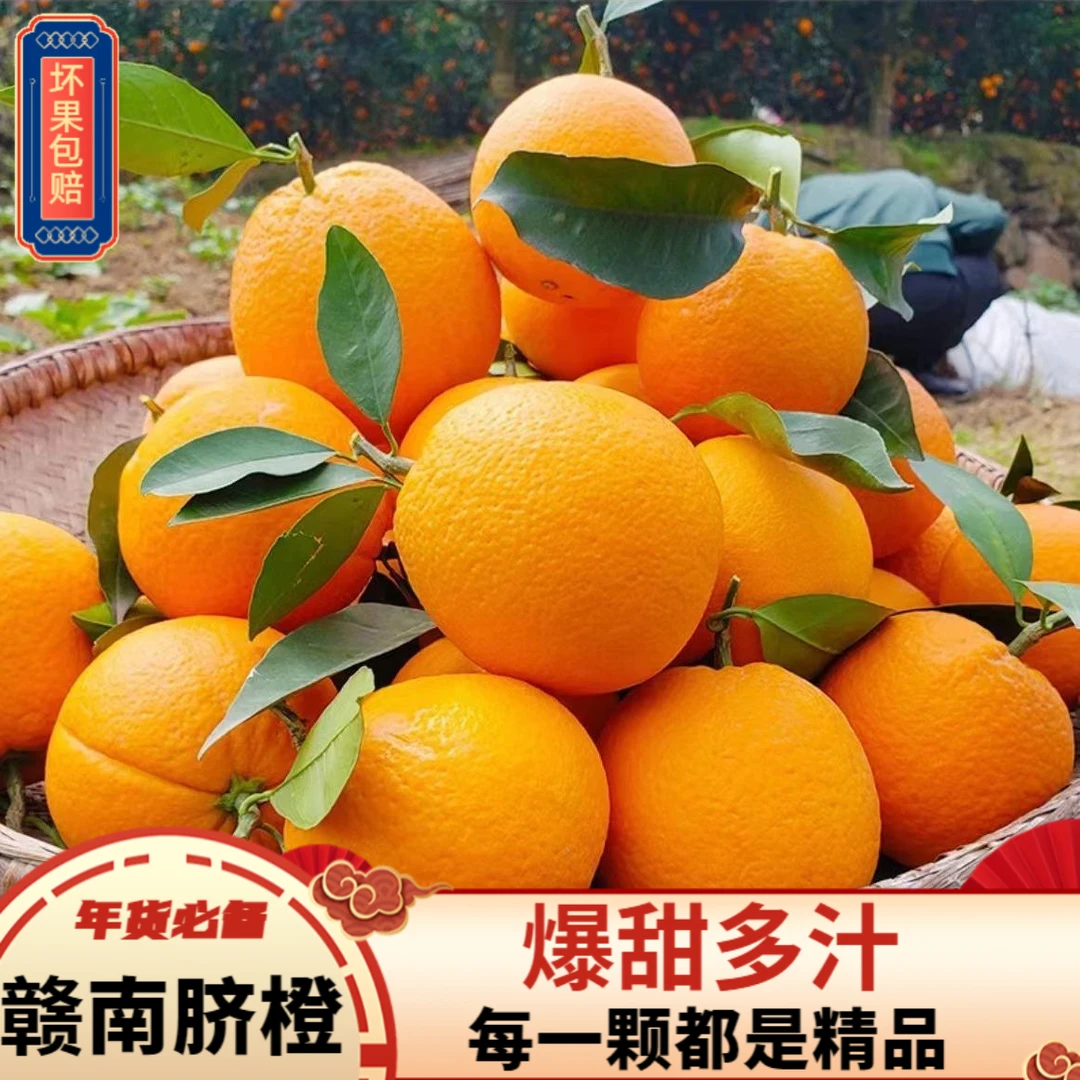 正宗赣南脐橙江西赣州赣南脐橙赣南脐橙赣南脐橙江西赣南