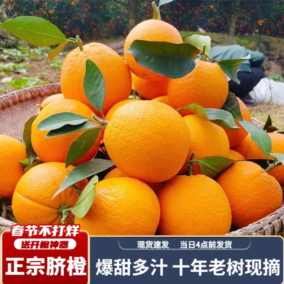 江西赣南江西赣州橙子新鲜正宗赣南脐橙江西赣南新鲜脐橙