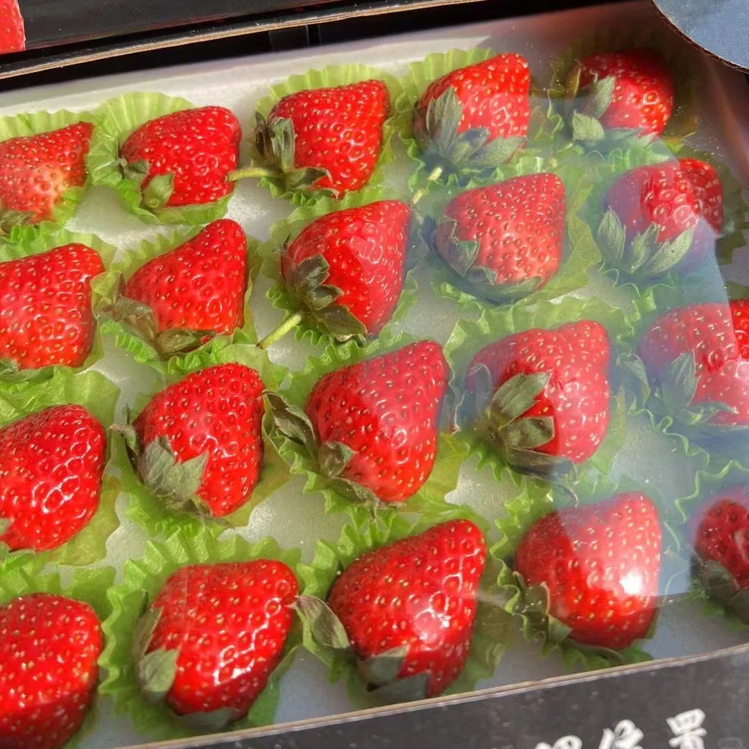 【福利尝鲜】丹东99草莓15枚(净重半斤左右)
