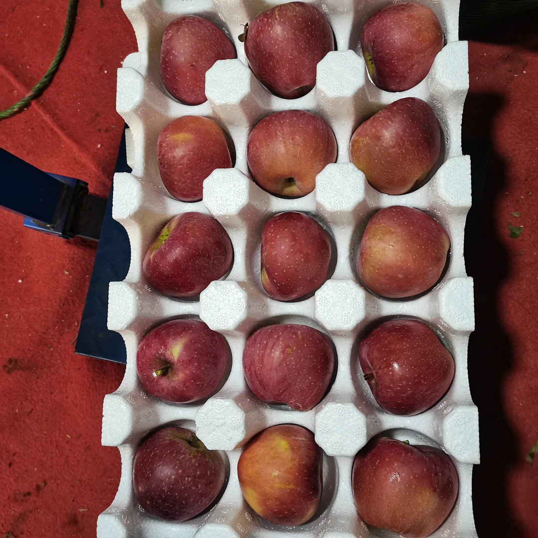 云南昭通冰糖心丑苹果冰糖心苹果新鲜现摘脆甜多汁当季水果妈妈