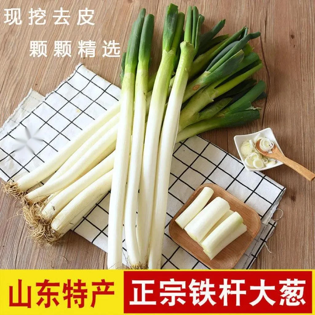 葱大葱新鲜铁杆大葱山东大葱正宗特产正宗山东味大葱1斤白甜葱蔬