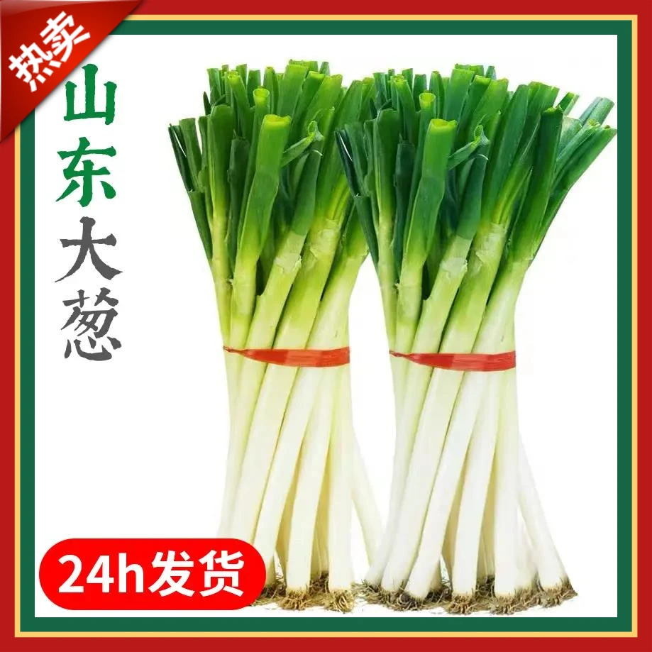 山东大葱葱大葱山东大葱新鲜铁杆大葱自家种植到手带箱现挖1斤