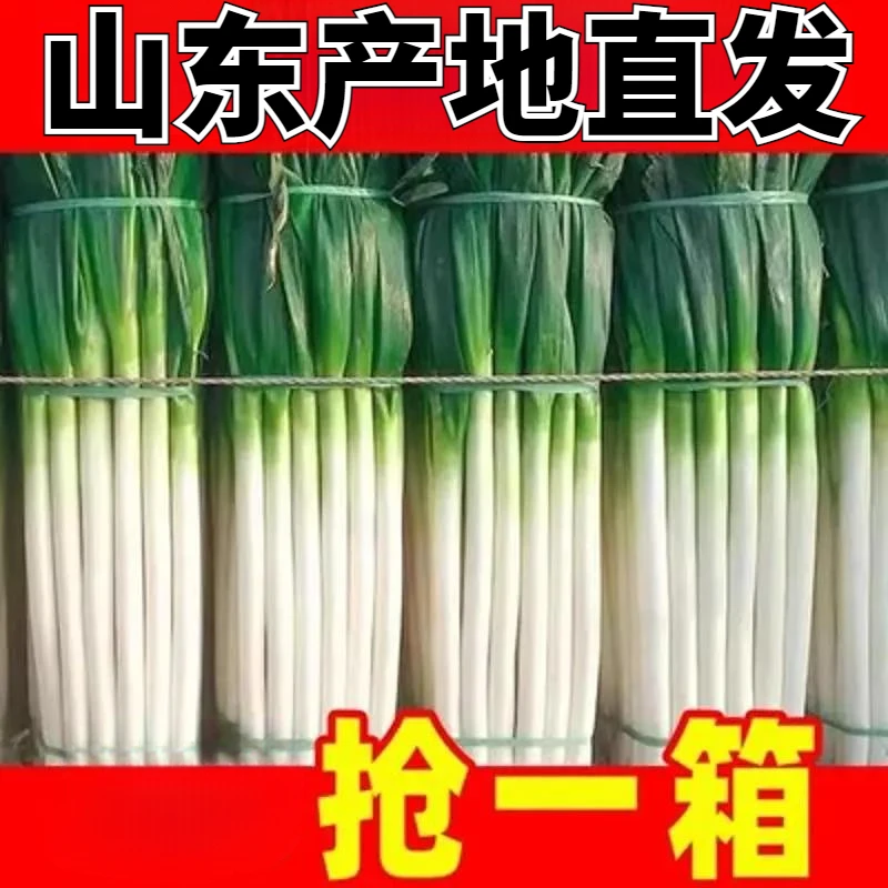 葱大葱山东大葱1斤推荐山东大葱新鲜甜葱特级铁杆大提味