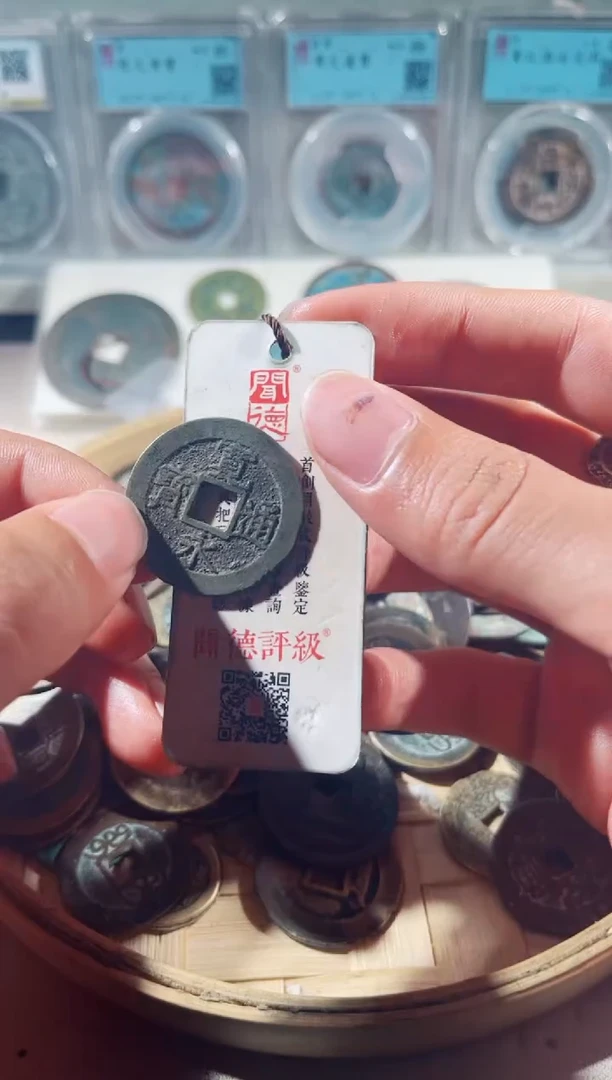 【闪购商品】金宽永 柏21