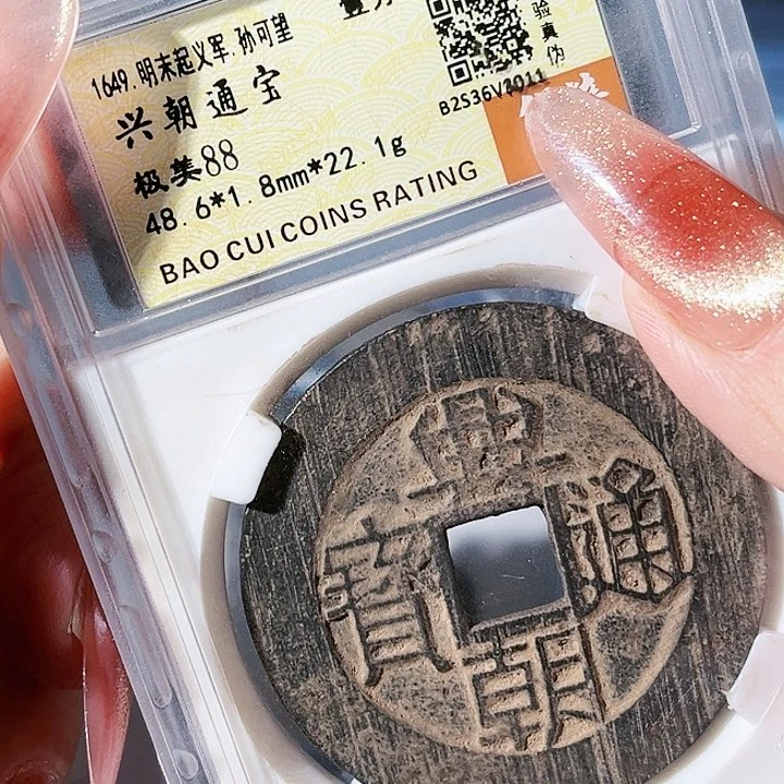 铜龘****e兴朝通宝。一分。  大型。2011