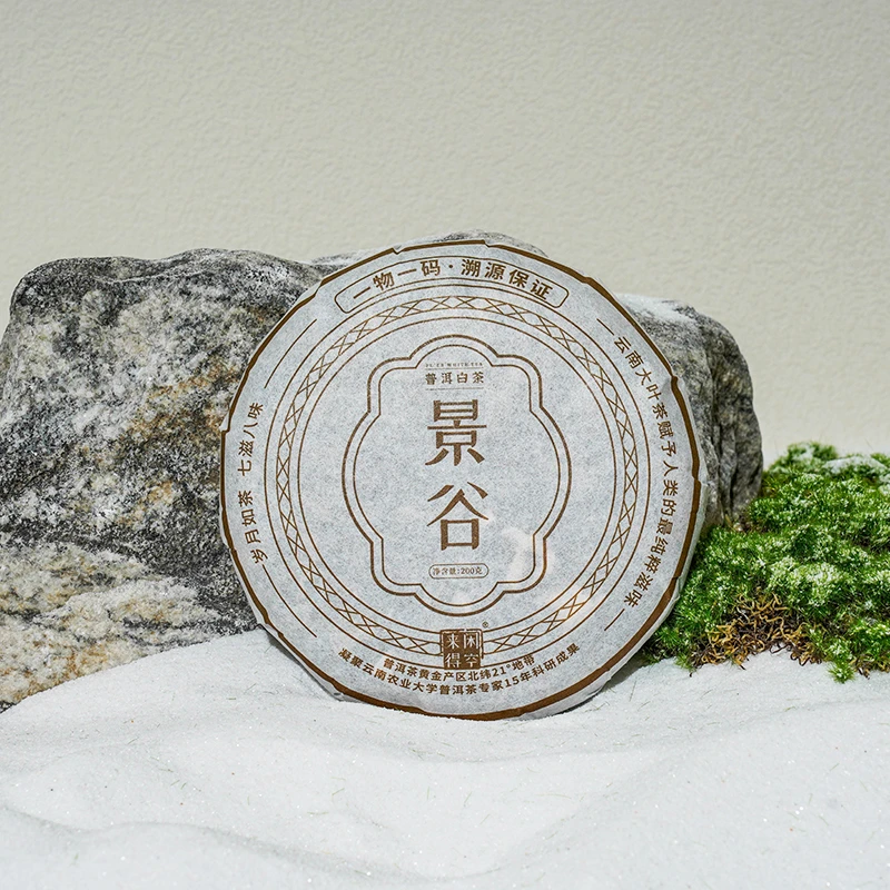 景谷净含量普洱白茶云南古树大叶茶叶紧压春茶特级野生好茶200g