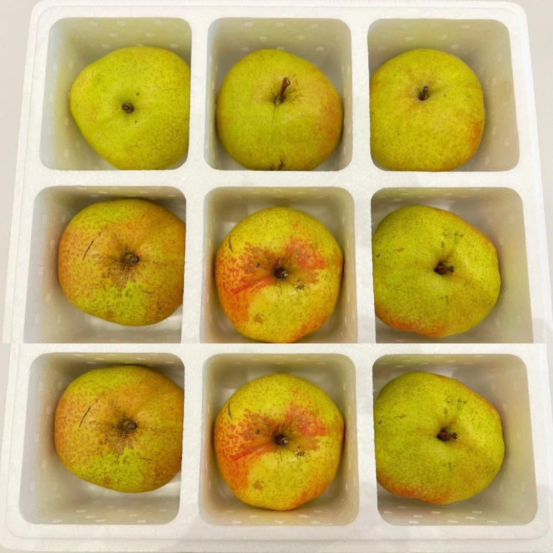 延边龙井三合苹果梨泡沫箱12果(单果310g~330g左右)