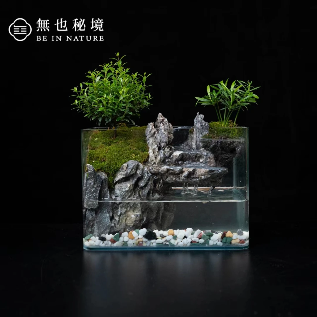 【特价】平川—小叶赤楠成品桌面造景微景观尺寸25*16*18cm