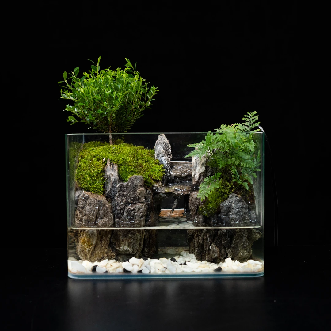 【无也秘境】高山流水—小叶赤楠成品桌面绿植景观尺寸25*16*18