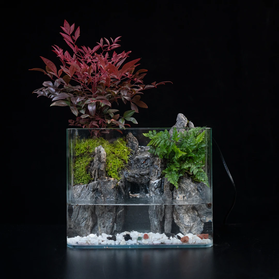 【无也秘境】新高山流水—南天竹青龙石成品绿植景观尺寸25*16*18cm