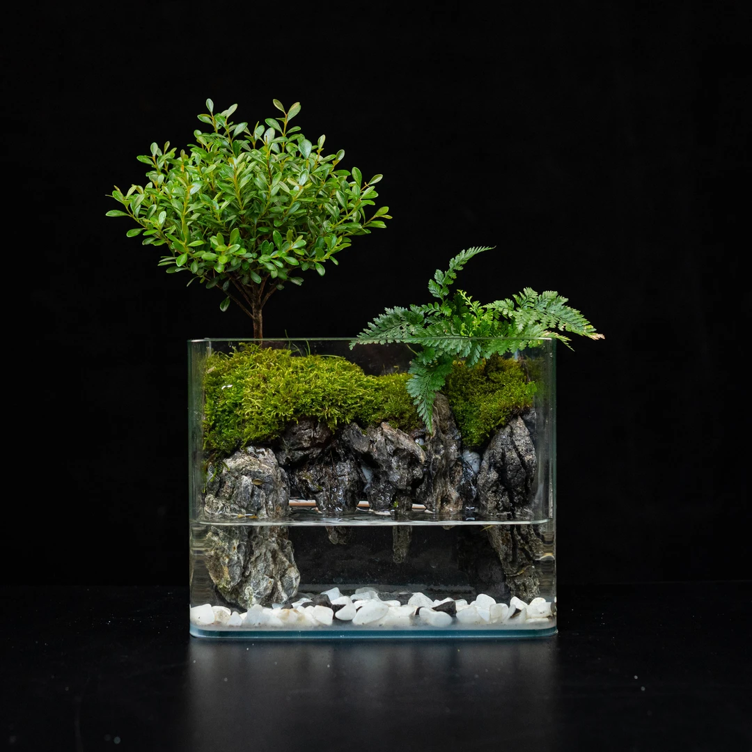 【特价】云台山上—小叶赤楠桌面绿植景观尺寸20*14*16cm