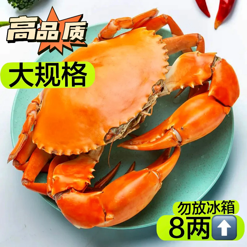 【2只装】每只8两大红膏蟹海蟹肉质鲜美饱满青蟹生鲜顺丰包活到手！！