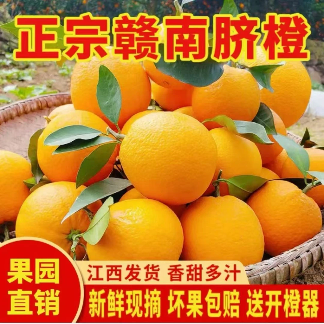 赣南脐橙产地直发新鲜美味口口爆汁应季水果