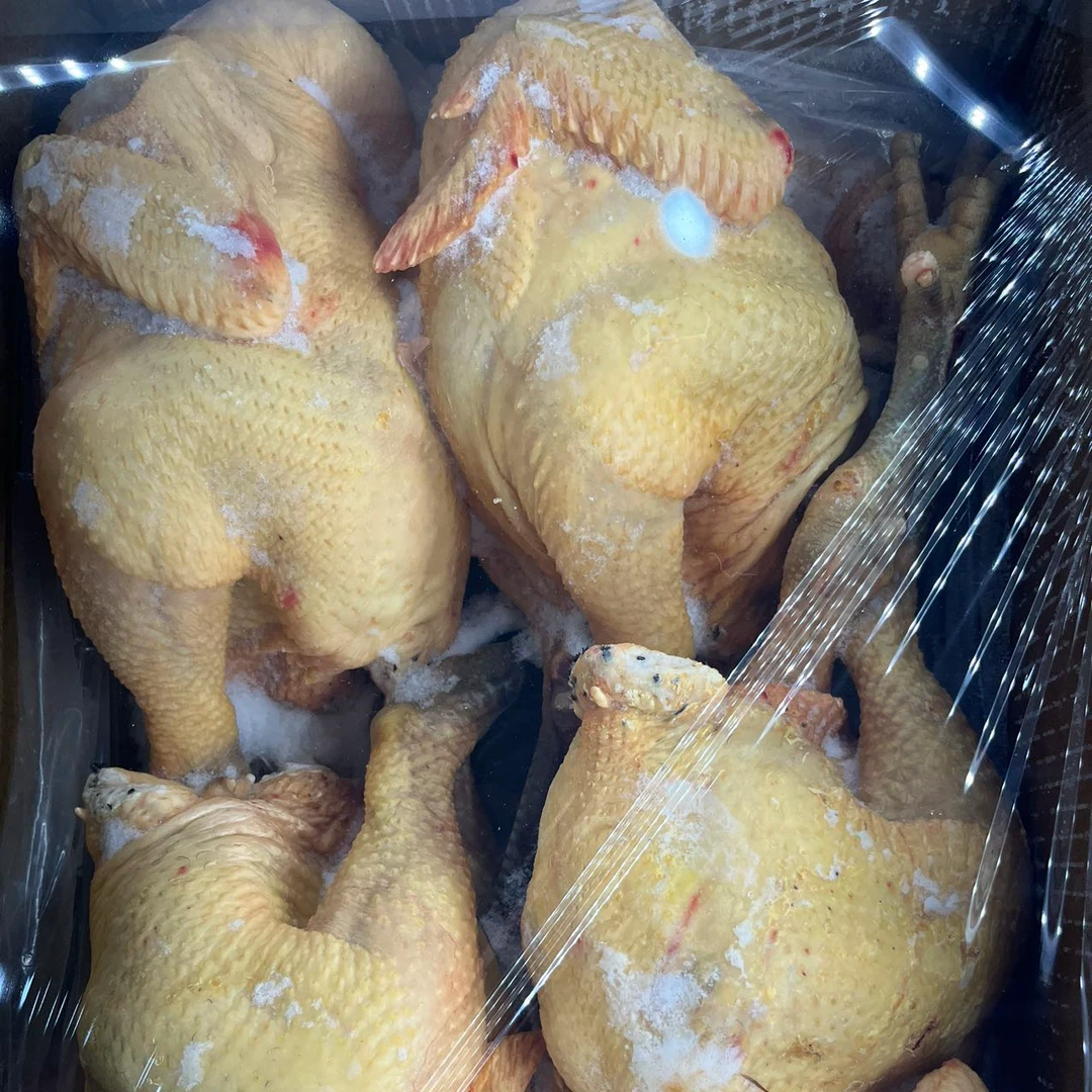 新疆新鲜速冻黑爪鸡