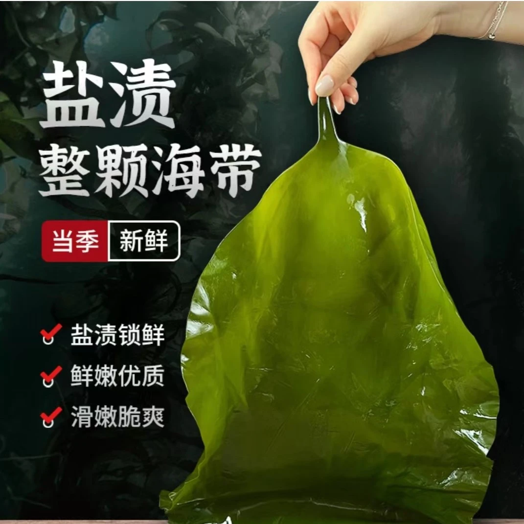 海小白盐渍整颗海带 含箱5斤 包饭海带 嫩海带 大连特产 凉拌