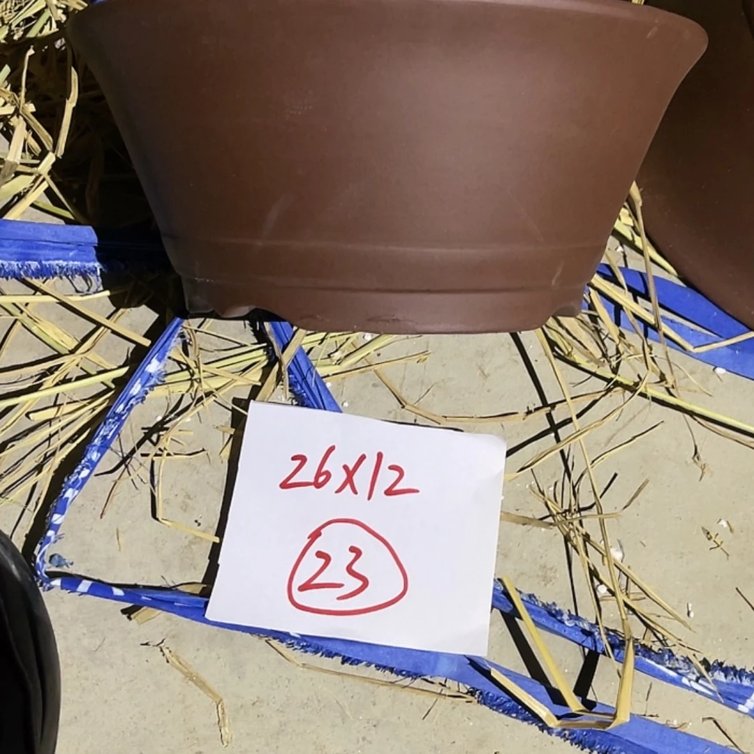 【闪购商品】紫砂20cm(含)-50cm(含)