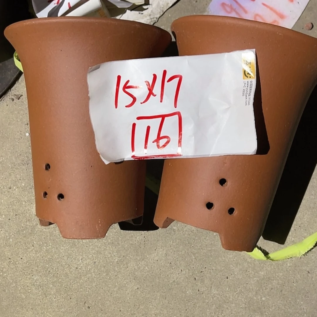 【闪购商品】紫砂20cm(含)-50cm(含)