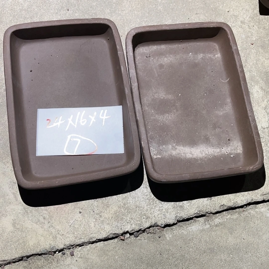 【闪购商品】紫砂20cm(含)-50cm(含)