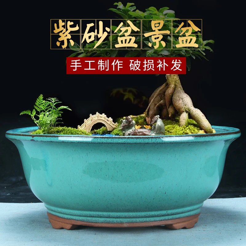 特大釉水紫砂花盆发财树金弹子多肉蝴蝶兰透气耐用釉面陶瓷盆景盆