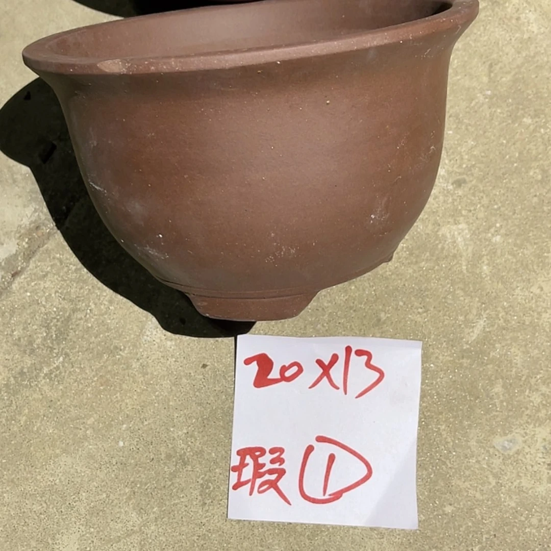 【闪购商品】紫砂20cm(含)-50cm(含)