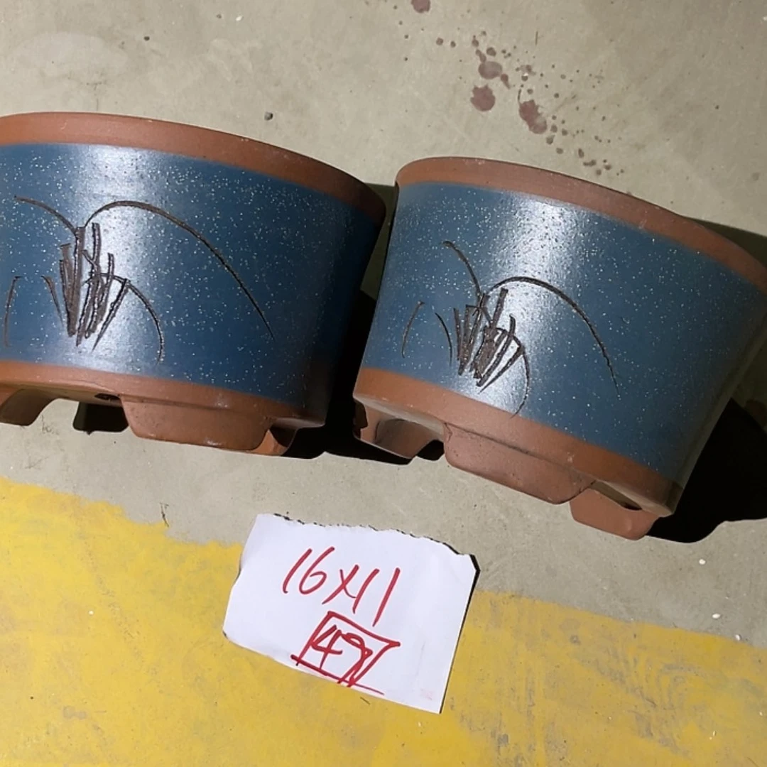 【闪购商品】紫砂20cm(含)-50cm(含)