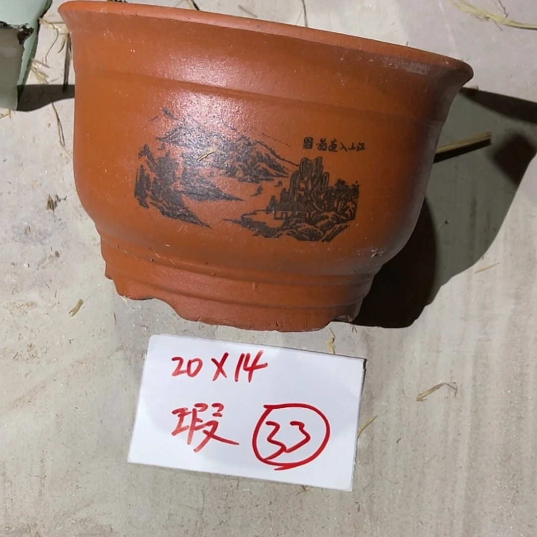 【闪购商品】紫砂20cm(含)-50cm(含)
