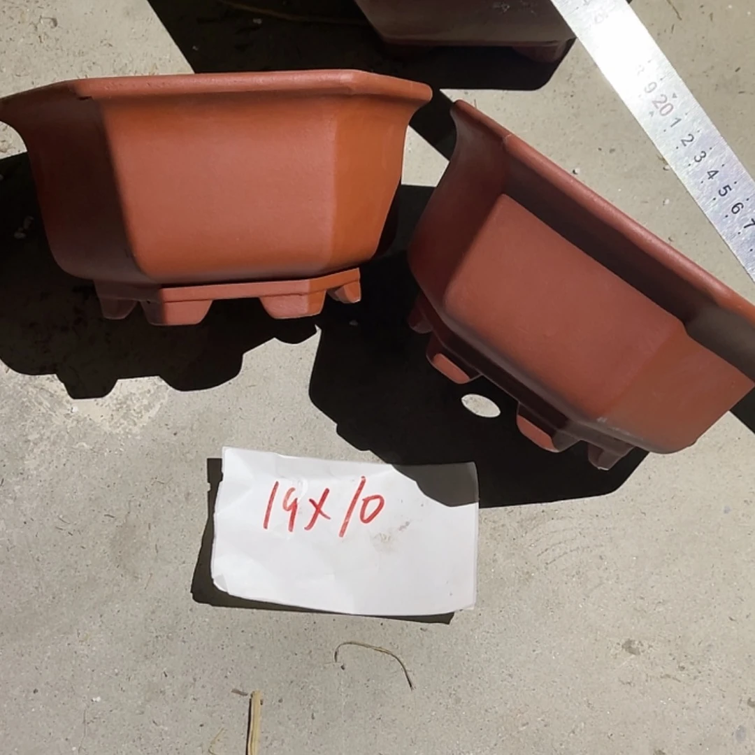 【闪购商品】紫砂20cm(含)-50cm(含)