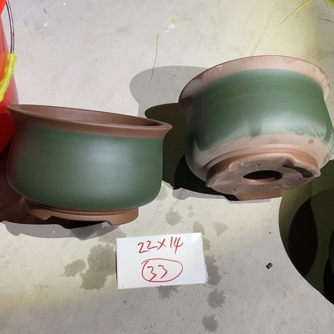【闪购商品】紫砂20cm(含)-50cm(含)