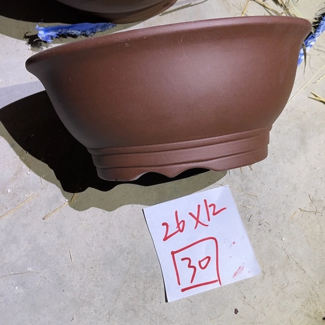 【闪购商品】紫砂20cm(含)-50cm(含)