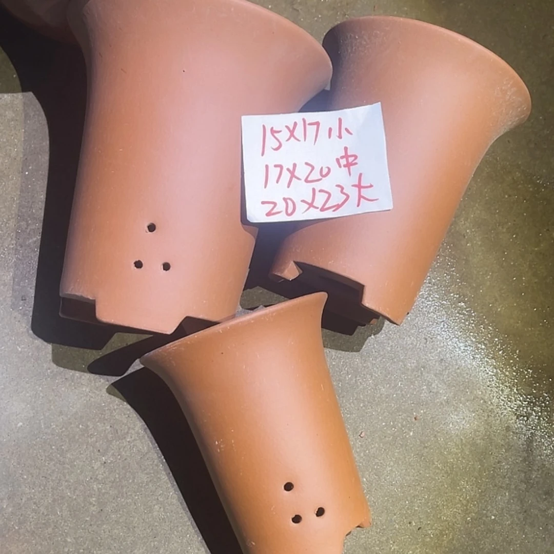 【闪购商品】紫砂20cm(含)-50cm(含)