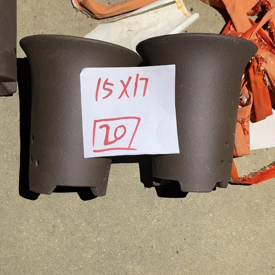 【闪购商品】紫砂20cm(含)-50cm(含)
