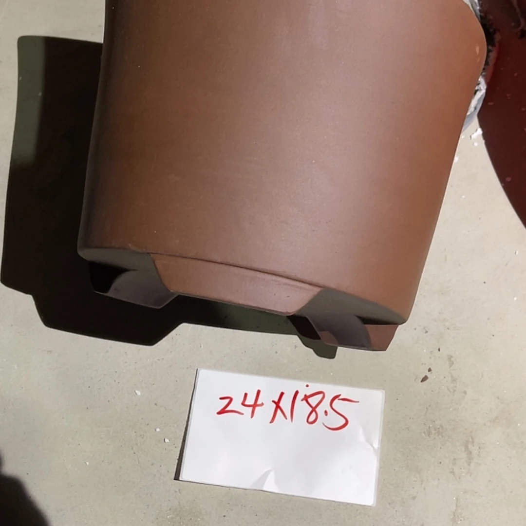 【闪购商品】紫砂20cm(含)-50cm(含)