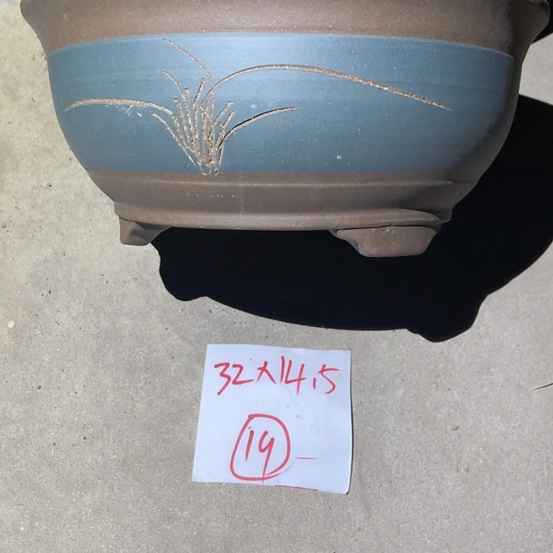 【闪购商品】紫砂20cm(含)-50cm(含)