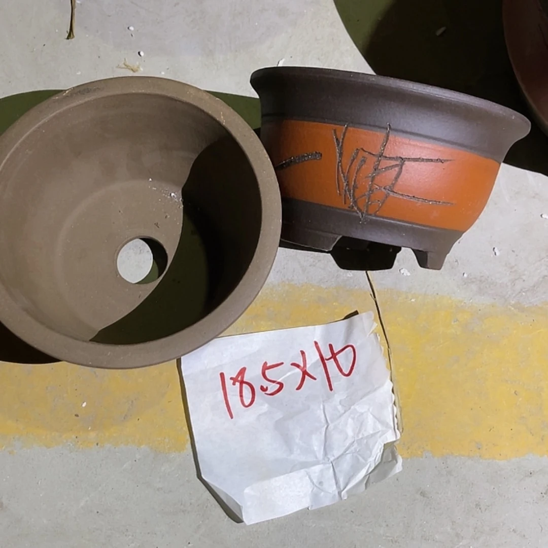 【闪购商品】紫砂20cm(含)-50cm(含)